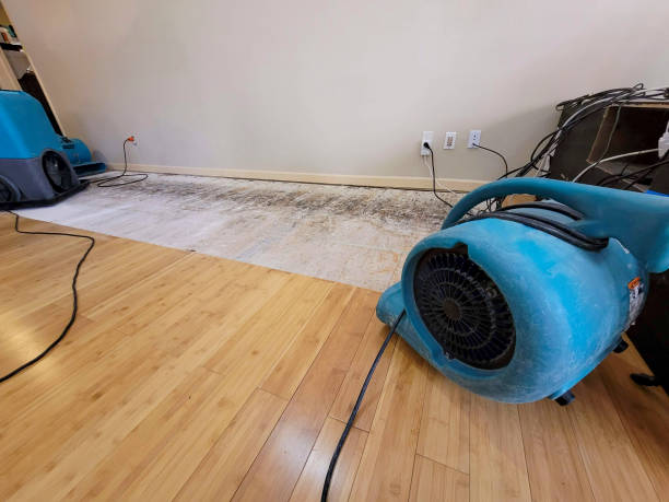 Professional Water Damage Repair technician working in New Rochelle, NY